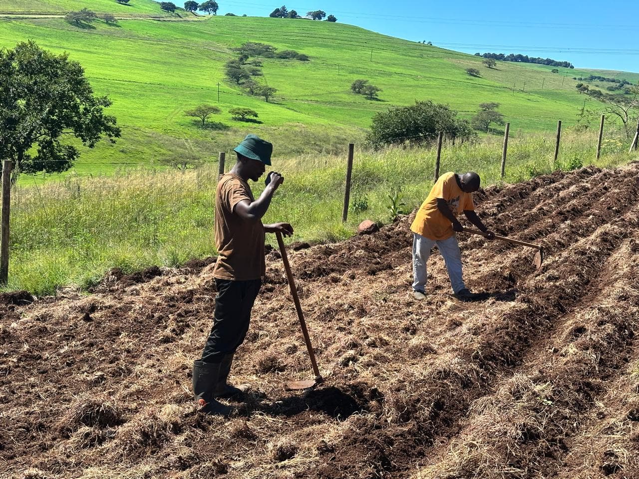 Heleza Farm photo collection, photograph 2