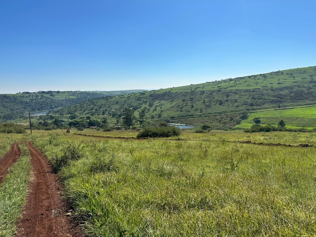 Heleza Farm pastures in Pietermaritzburg